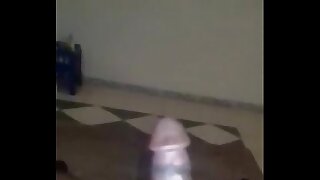 trim.D923ADEF-E060-4330-BB80-930A4ED496D7.MOV
