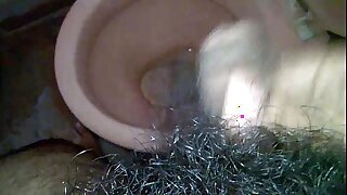 indian husband Jeet doing handjob and piss in toilet recorded by wife Pinki bh