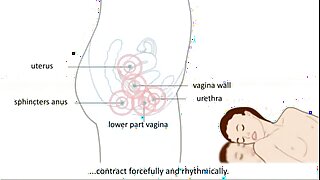 xvideos.com 120bdff1c7b3df33a60f6ba4e0918fc0