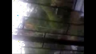 Video-0011